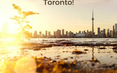 How To Plastic-Free-July All Year Round