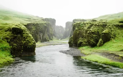 The Environmental Impact of Cleaning